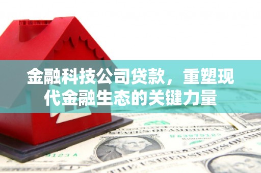 海端金融科技公司贷款，重塑现代金融生态的关键力量