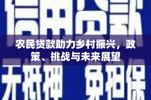 海端农民贷款助力乡村振兴，政策、挑战与未来展望