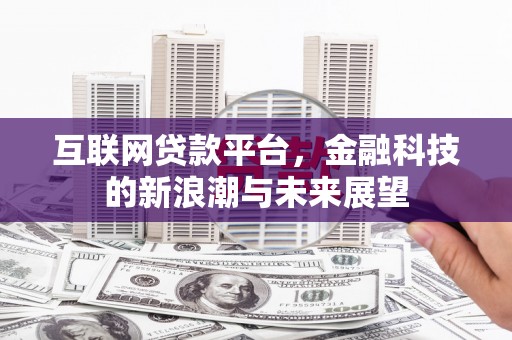 海端互联网贷款平台，金融科技的新浪潮与未来展望