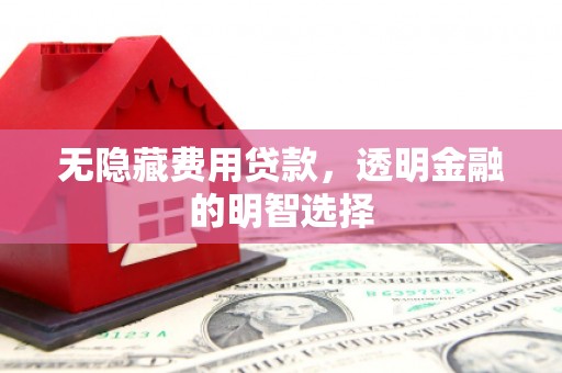 海端无隐藏费用贷款，透明金融的明智选择