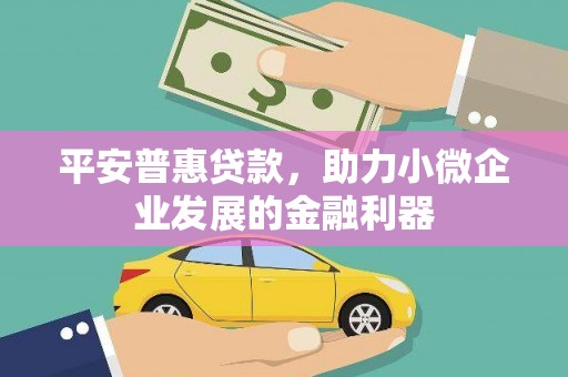 海端平安普惠贷款，助力小微企业发展的金融利器