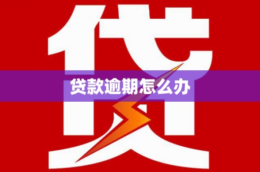 海端贷款逾期怎么办