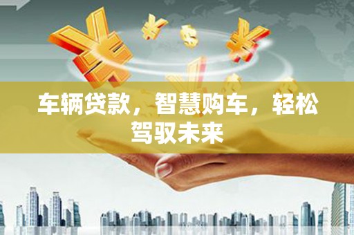 海端车辆贷款，智慧购车，轻松驾驭未来