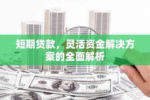 海端短期贷款，灵活资金解决方案的全面解析