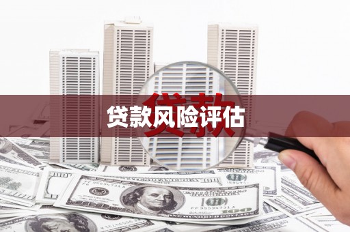 海端贷款风险评估
