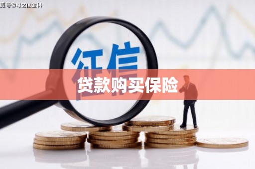 海端贷款购买保险