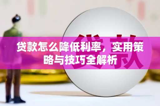 海端贷款怎么降低利率，实用策略与技巧全解析
