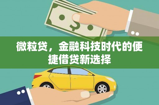 海端微粒贷，金融科技时代的便捷借贷新选择