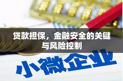 海端贷款担保，金融安全的关键与风险控制