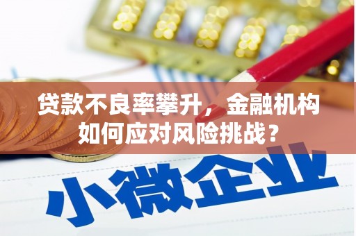 海端贷款不良率攀升，金融机构如何应对风险挑战？