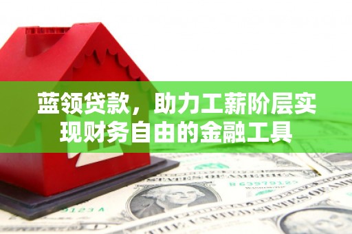 海端蓝领贷款，助力工薪阶层实现财务自由的金融工具