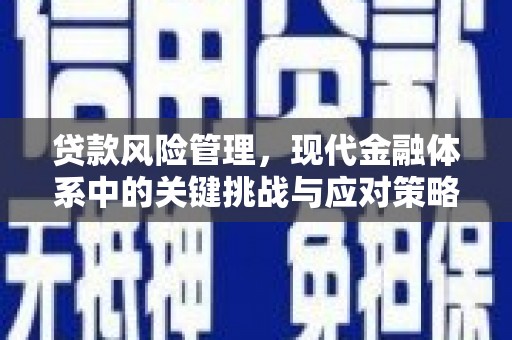 海端贷款风险管理，现代金融体系中的关键挑战与应对策略
