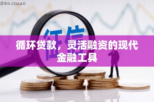 海端循环贷款，灵活融资的现代金融工具