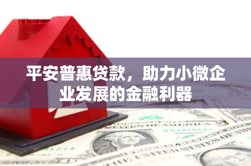 海端平安普惠贷款，助力小微企业发展的金融利器