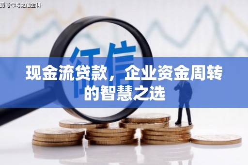 海端现金流贷款，企业资金周转的智慧之选