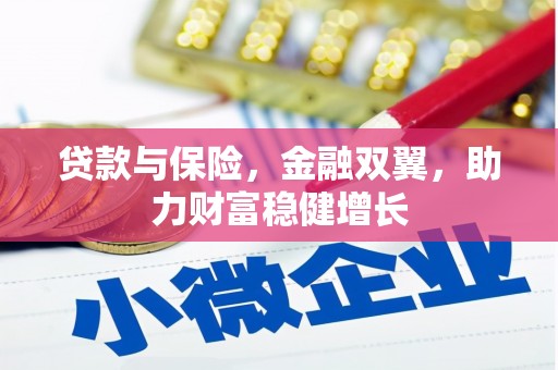 海端贷款与保险，金融双翼，助力财富稳健增长
