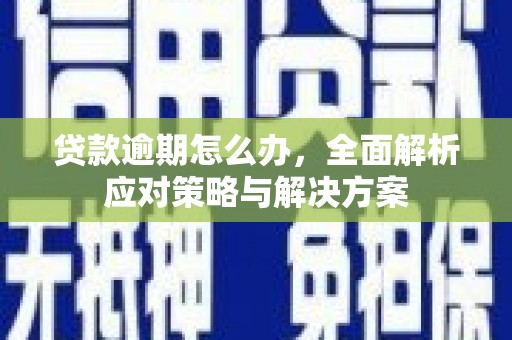 海端贷款逾期怎么办，全面解析应对策略与解决方案