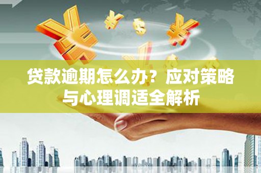 海端贷款逾期怎么办？应对策略与心理调适全解析