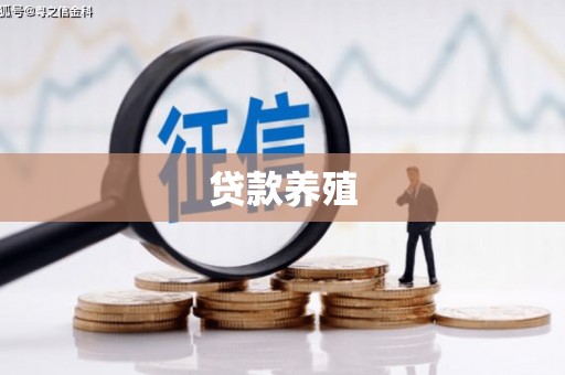 海端贷款养殖