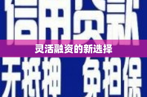 海端灵活融资的新选择
