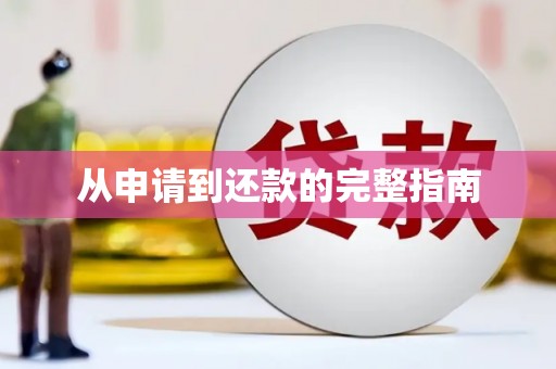 海端从申请到还款的完整指南