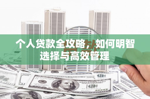 海端个人贷款全攻略，如何明智选择与高效管理