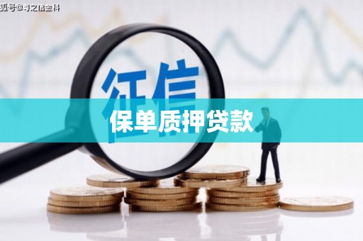 海端保单质押贷款