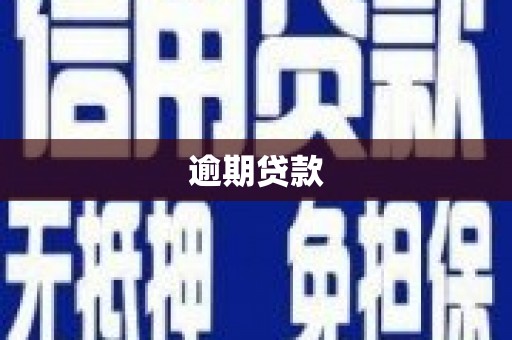 海端逾期贷款