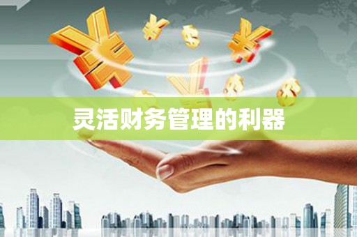海端灵活财务管理的利器