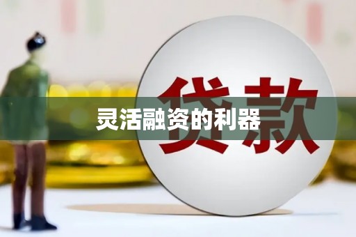 海端灵活融资的利器