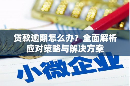 海端贷款逾期怎么办？全面解析应对策略与解决方案