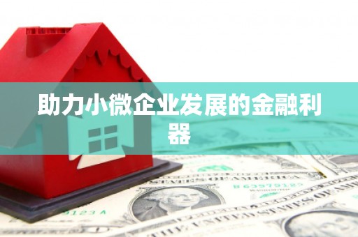 海端助力小微企业发展的金融利器