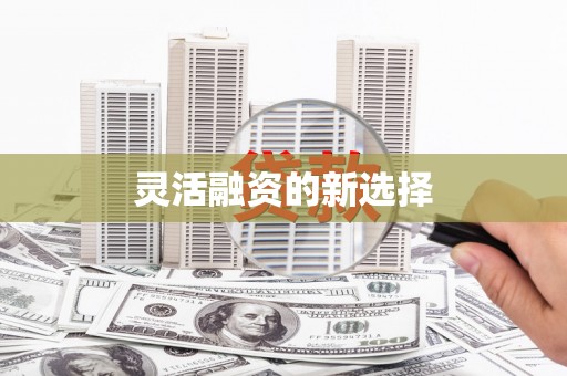 海端灵活融资的新选择
