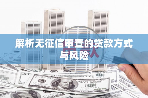 海端解析无征信审查的贷款方式与风险