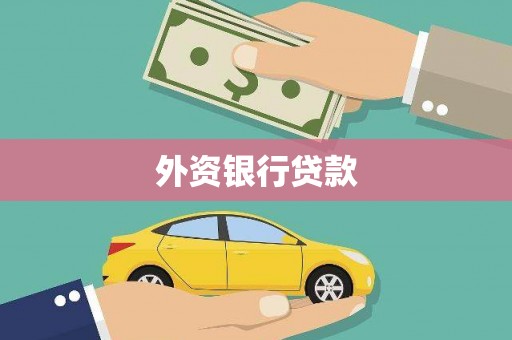 海端外资银行贷款