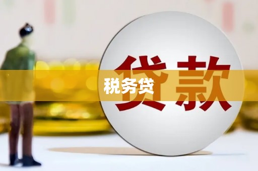 海端税务贷