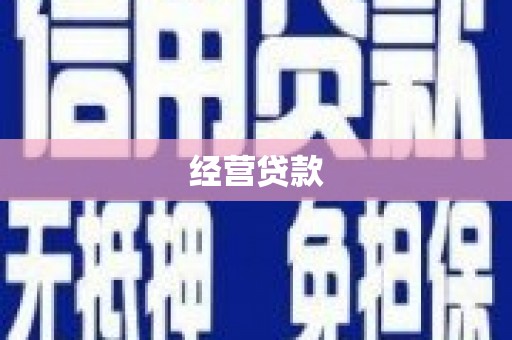 海端经营贷款