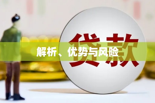海端解析、优势与风险
