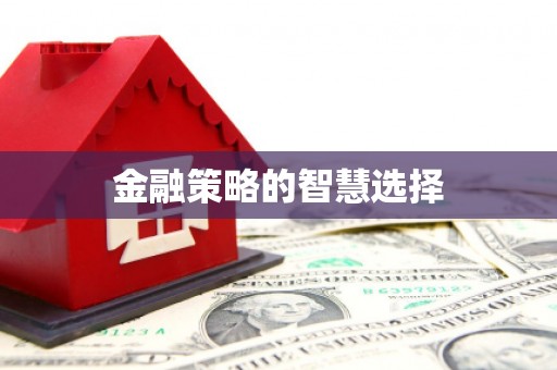 海端金融策略的智慧选择