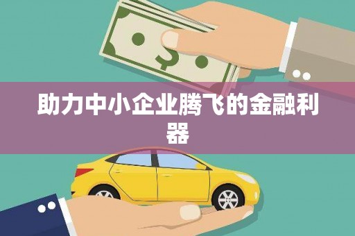 海端助力中小企业腾飞的金融利器