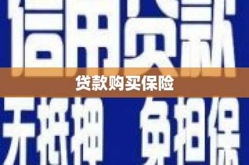海端贷款购买保险
