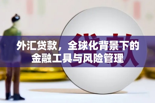 海端外汇贷款，全球化背景下的金融工具与风险管理