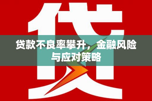 海端贷款不良率攀升，金融风险与应对策略